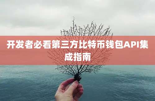 开发者必看第三方比特币钱包API集成指南