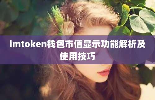 imtoken钱包市值显示功能解析及使用技巧