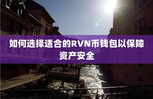 如何选择适合的RVN币钱包以保障资产安全