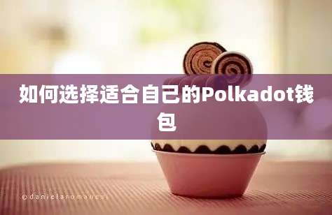 如何选择适合自己的Polkadot钱包