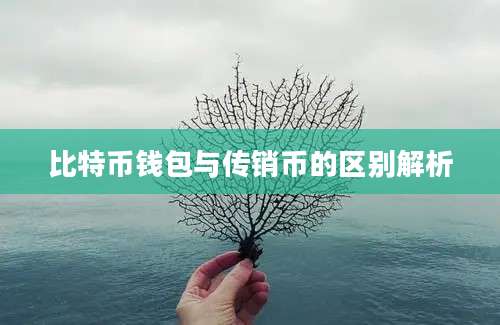 比特币钱包与传销币的区别解析