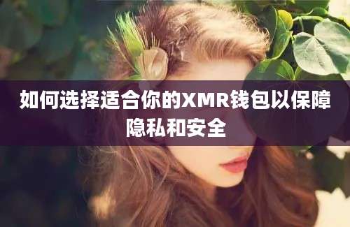 如何选择适合你的XMR钱包以保障隐私和安全