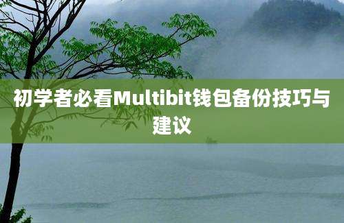 初学者必看Multibit钱包备份技巧与建议