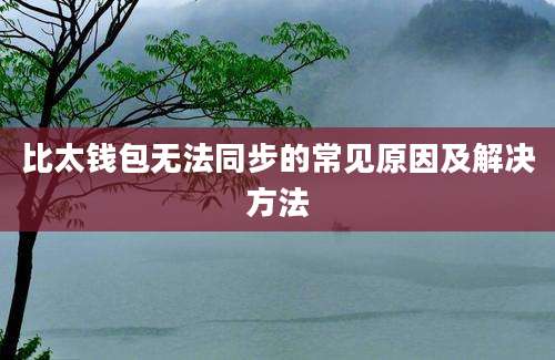 比太钱包无法同步的常见原因及解决方法