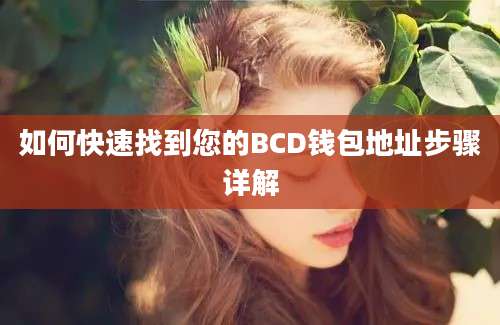 如何快速找到您的BCD钱包地址步骤详解