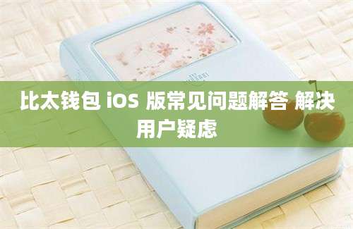 比太钱包 iOS 版常见问题解答 解决用户疑虑