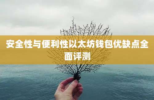 安全性与便利性以太坊钱包优缺点全面评测