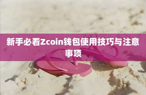 新手必看Zcoin钱包使用技巧与注意事项