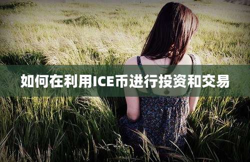 如何在利用ICE币进行投资和交易