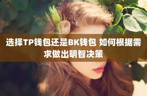 选择TP钱包还是BK钱包 如何根据需求做出明智决策