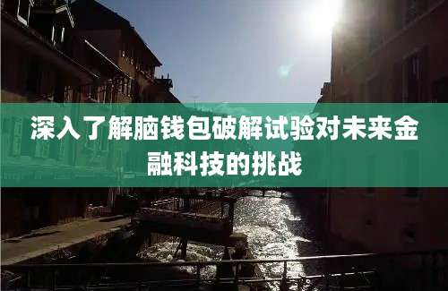 深入了解脑钱包破解试验对未来金融科技的挑战