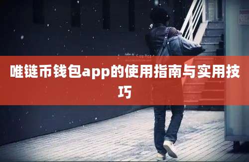 唯链币钱包app的使用指南与实用技巧