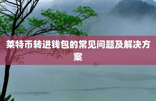 莱特币转进钱包的常见问题及解决方案