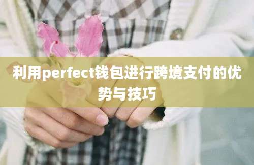 利用perfect钱包进行跨境支付的优势与技巧