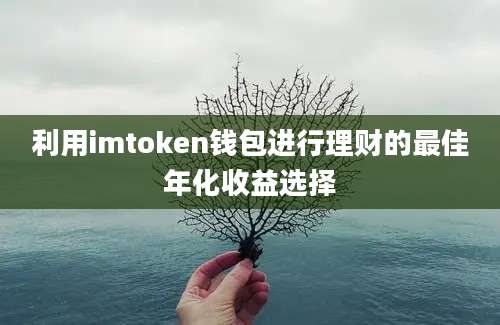 利用imtoken钱包进行理财的最佳年化收益选择