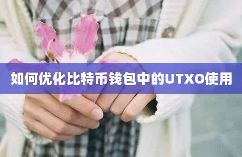 如何优化比特币钱包中的UTXO使用