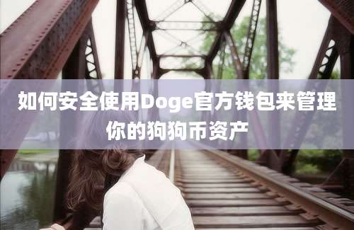 如何安全使用Doge官方钱包来管理你的狗狗币资产