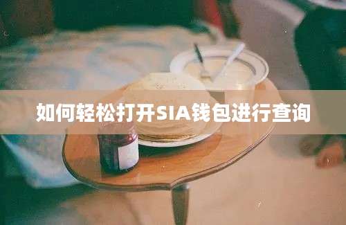 如何轻松打开SIA钱包进行查询