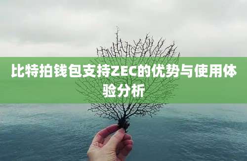 比特拍钱包支持ZEC的优势与使用体验分析