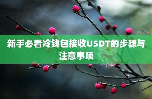 新手必看冷钱包接收USDT的步骤与注意事项