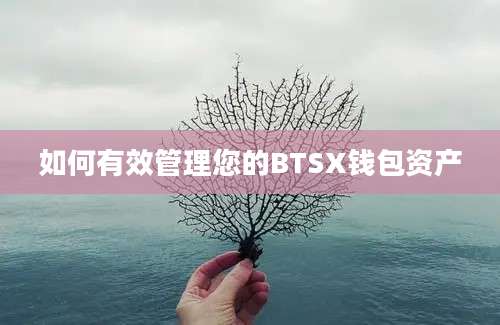 如何有效管理您的BTSX钱包资产