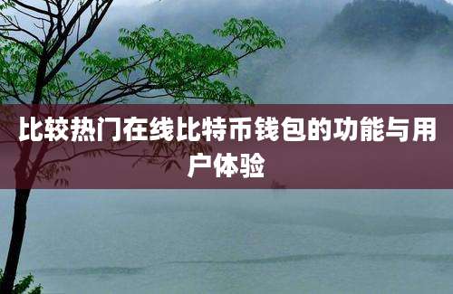 比较热门在线比特币钱包的功能与用户体验