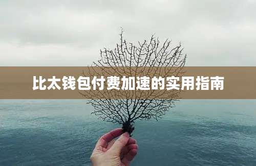 比太钱包付费加速的实用指南