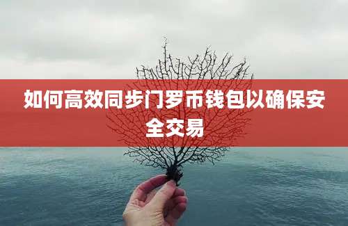 如何高效同步门罗币钱包以确保安全交易