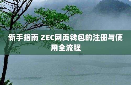 新手指南 ZEC网页钱包的注册与使用全流程